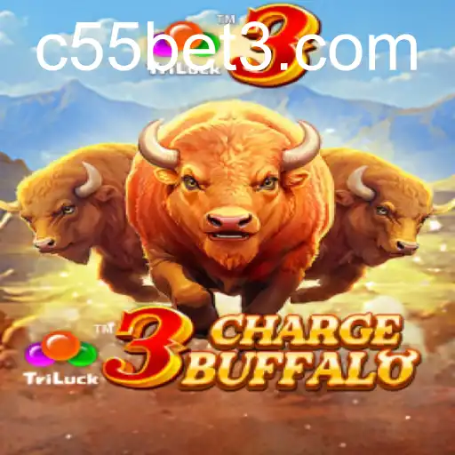 3ChargeBuffalo